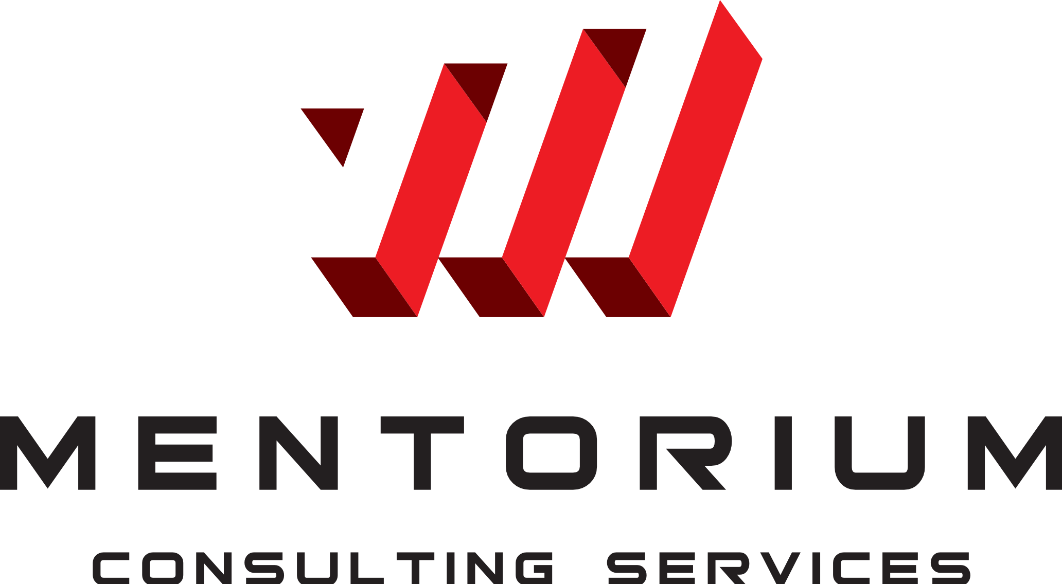 Mentorium - Consulting Services